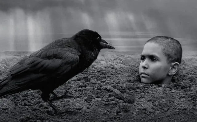 Nabarvené ptáče/ The Painted Bird (2019)